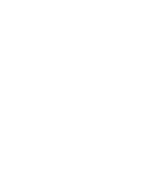 Zervox Minimal Logo